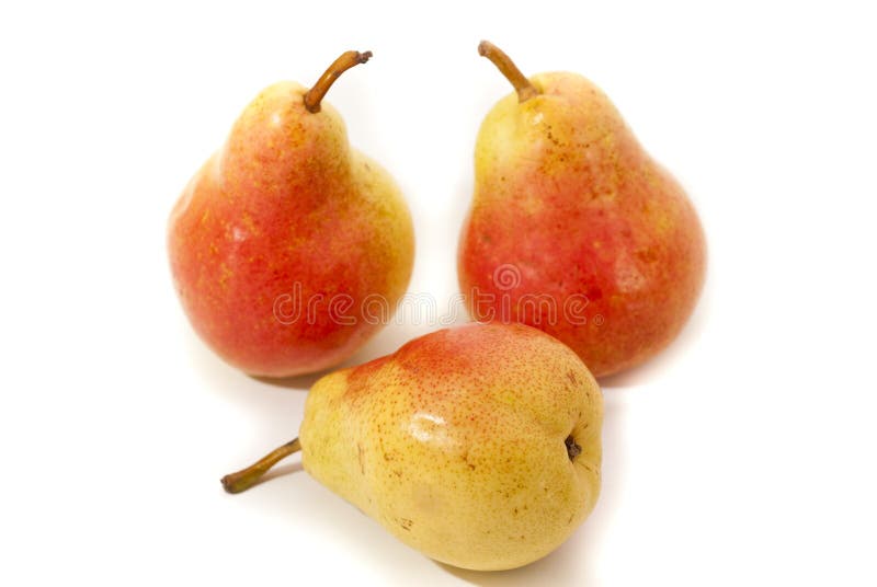 Three Pears Hanging from a Pear Fruit Tree Branch Stock Image Image of sunlit, organic 221679211