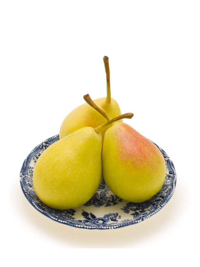 Three Pears Hanging from a Pear Fruit Tree Branch Stock Image Image
