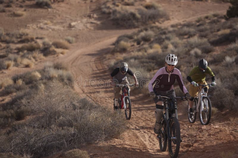 Three People Riding Mountain Bikes royalty free stock images