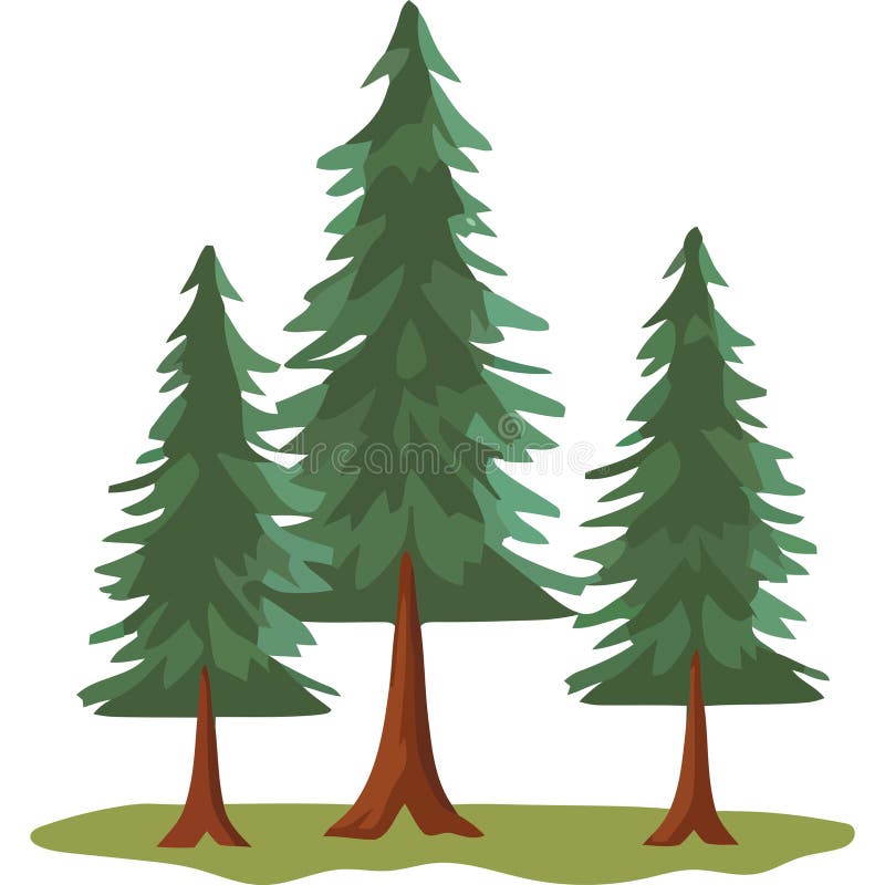 Three pines trees plants forest vector illustration