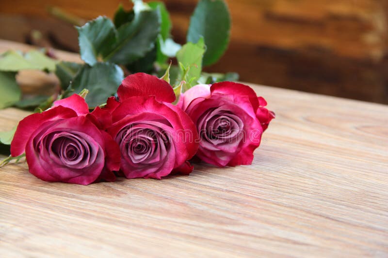 Three Pink Roses on a Wooden Background Stock Photo Image of gift
