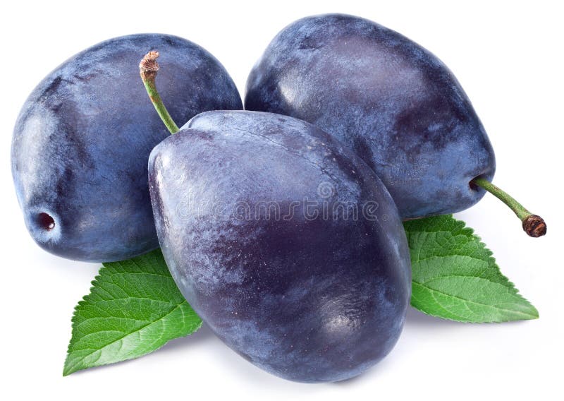 Three plums with leaf. royalty free stock photography Three plums with leaf. royalty free stock photography