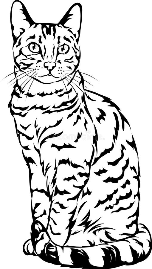 Cat, Bengal Cat, Figure, 3 Variants of the Image, Vector, Illustration ...