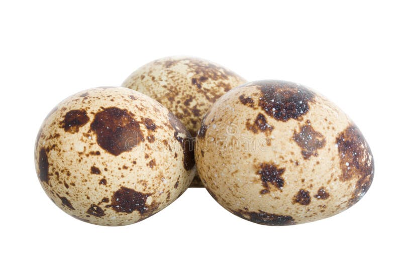 Three quail eggs stock photo. Image of tasty, delicacy 11873242