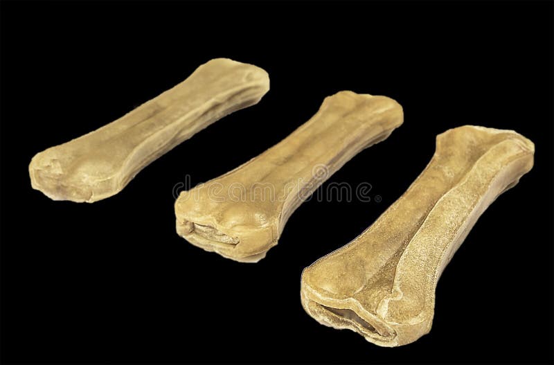 506 Raw Dog Bones Stock Photos Free & RoyaltyFree Stock Photos from