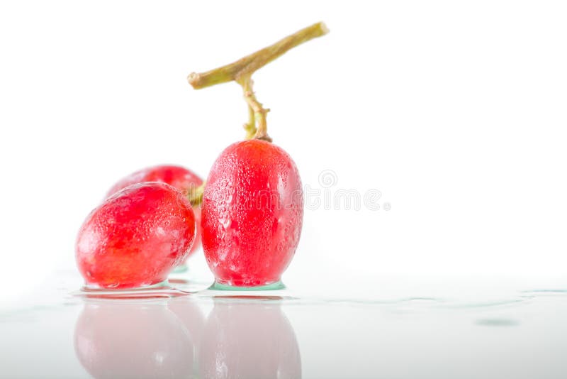 Three of Red Grapes