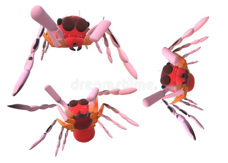 plastic jumping spiders