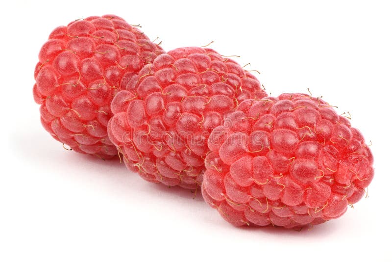 Three Red Raspberry Berries Stock Photo - Image of green, delicious ...