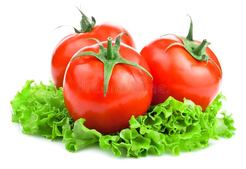 Healthy Combination of Lettuce and Tomato Stock Image Image of edible