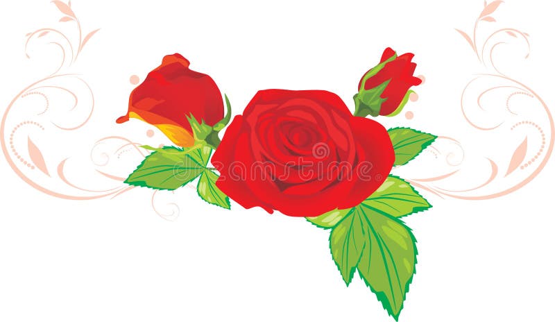 Three Red Roses With Ornament Picture. Image: 17827062