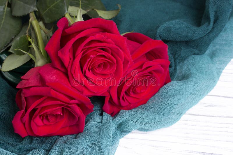 A lit diya on bed of roses stock photo. Image of festival - 6375966