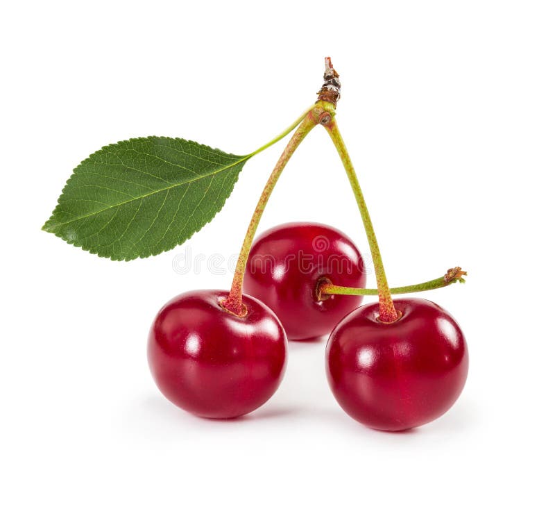 Three Cherries With Leaf Isolated On White. Stock Image - Image of ...