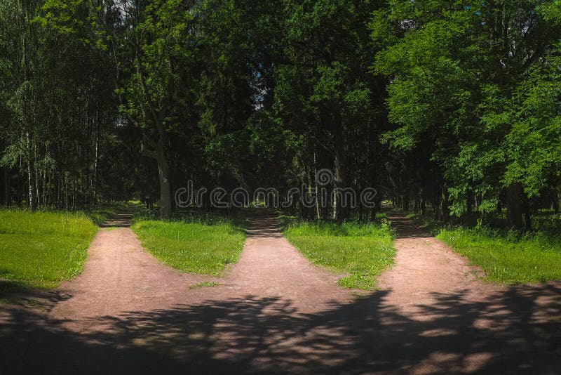 Three roads in the forest, choice of path