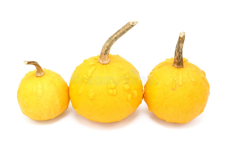 Decorative Gourd Pear Shape Extra-Small Size