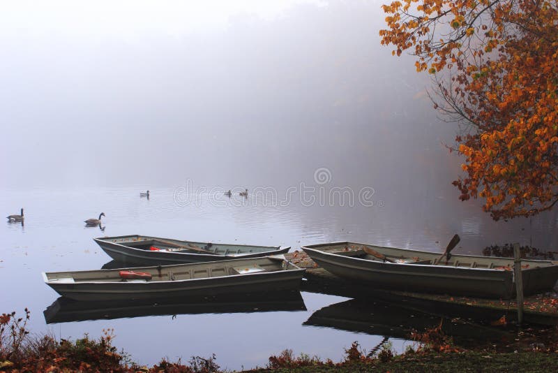 Three Row Boats in the Fog.