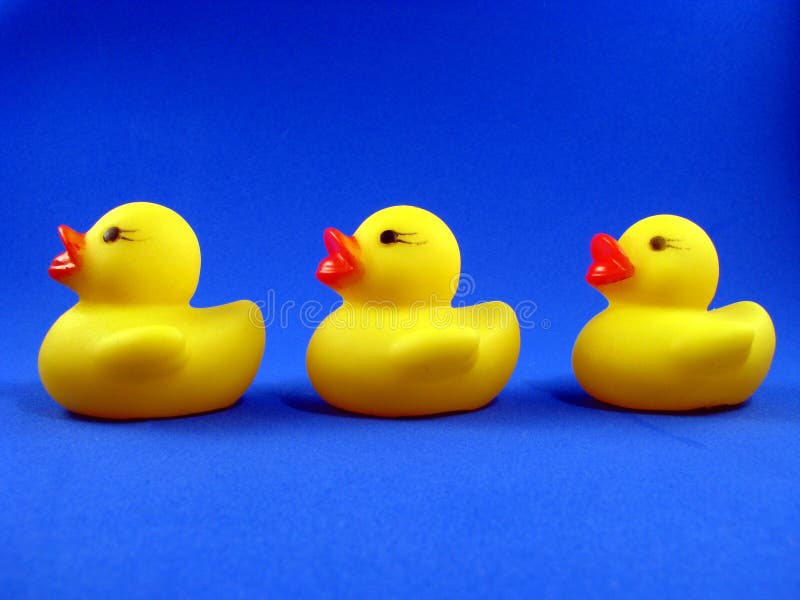 Three Rubber Duckies