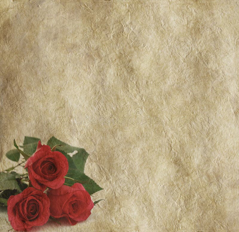 Download Three Rustic Red Roses On Parchment Background Stock Photo ...