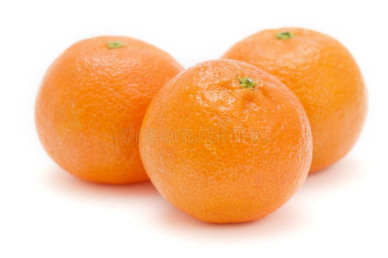 Three Satsumas on White Background Stock Image Image of round, group