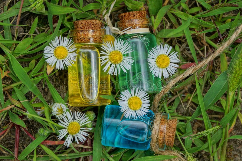 Three small glass bottles with oil among white daisies lie on green grass royalty free stock photo Three small glass bottles with oil among white daisies lie on green grass royalty free stock photo