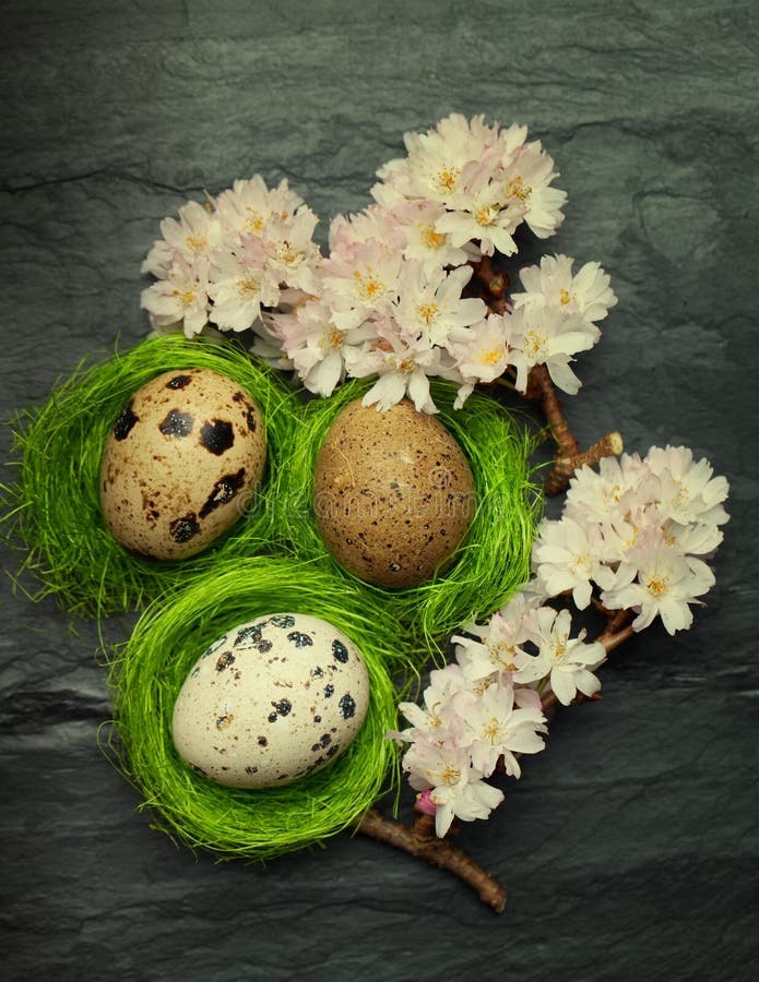 Three Quail Eggs Side Tiny Green Nests Spring Flowers Stock Photos