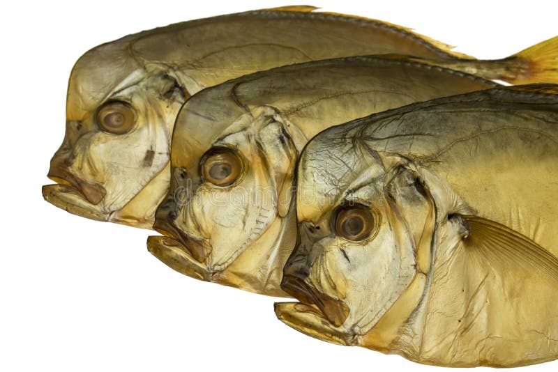 Three Smoked Vomer Fish on a White Plate Isolated Stock Photo Image