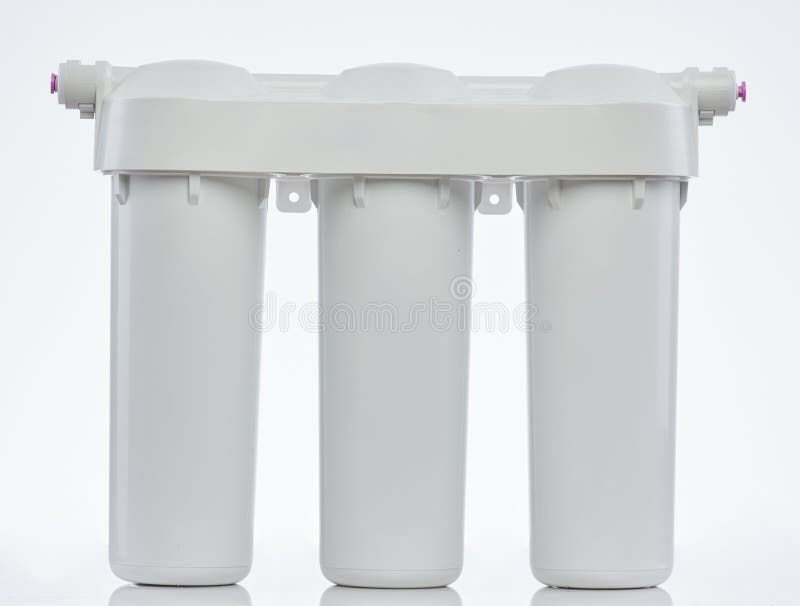 Three Stage of Sunflower Ripening Stock Image Image of plant, seed