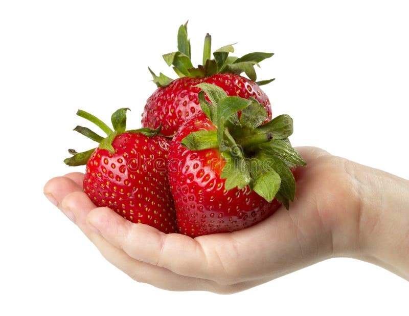 Three strawberries in the hand