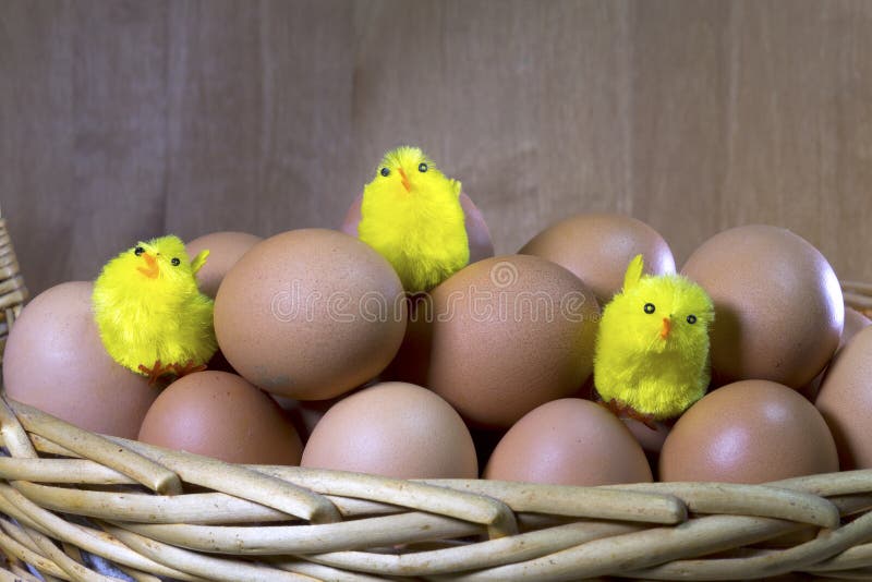 Three Toy Chickens between Eggs in Packing Stock Photo Image of fresh