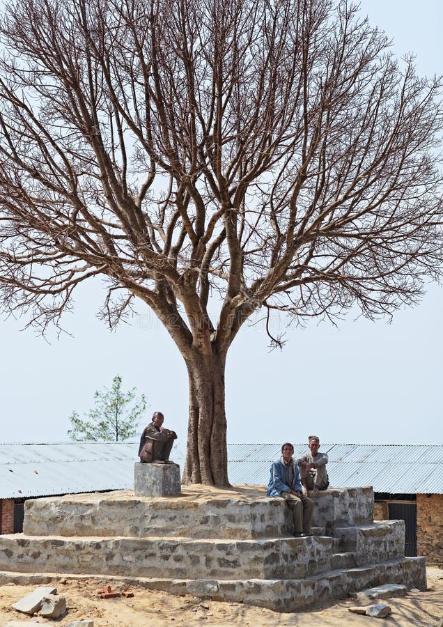 Three unidentified Nepalese old men take a afternoon rest under big old naked tree stock photography