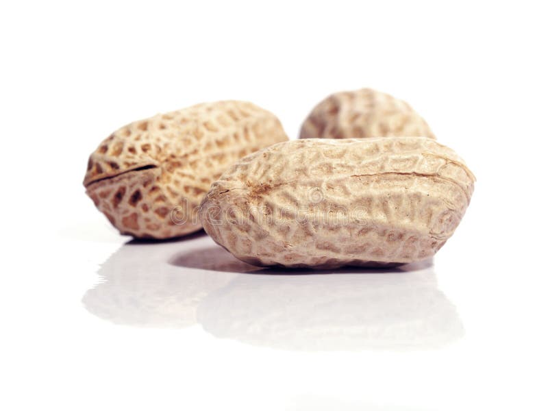 Three unshelled peanuts stock image. Image of three, earthnut 16315221