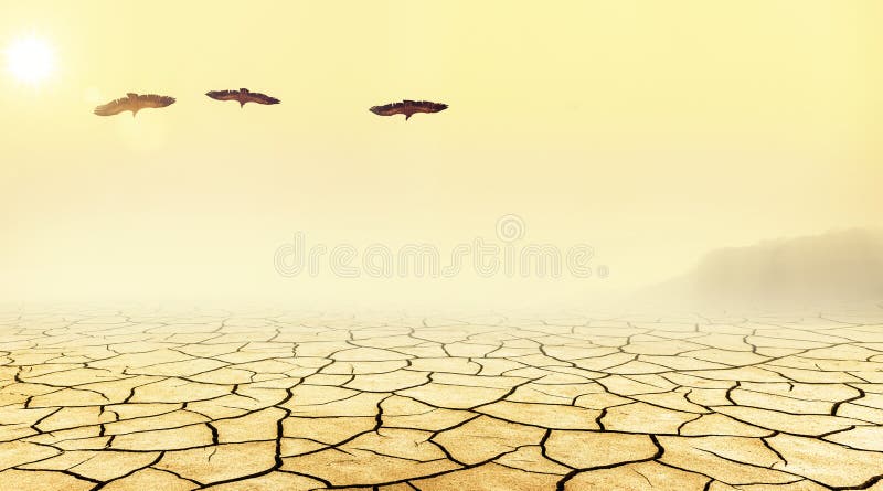 Three vultures flying over a desert