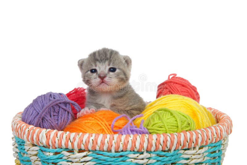 Yarn balls in the basket stock photo. Image of fluffy - 65073640