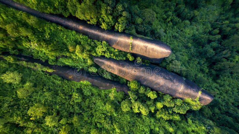 Three whale stones. Bird eye view shot of three whales rock in Phu Sing Country park in Bungkarn, Thailand.