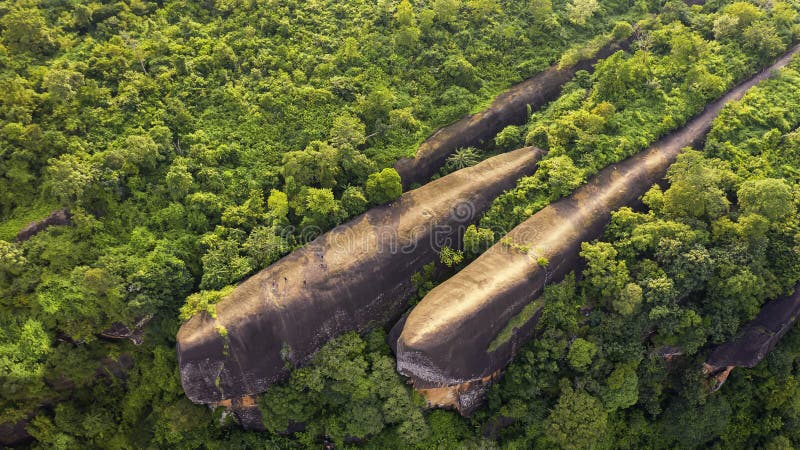 Three whale stones. Bird eye view shot of three whales rock in Phu Sing Country park in Bungkarn. Aerial shot of three rock whales in Phu Sing Country park in Bueng Kan, Thailand.