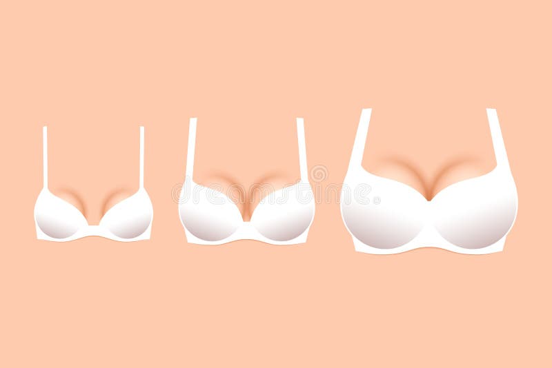 Three White Brassieres with Cups of Different Sizes Stock Vector