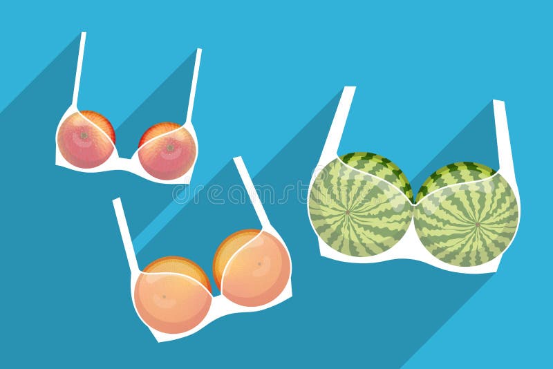 Brassieres with Fruits Inside. Different Bra Sizes Stock Vector -  Illustration of medium, apple: 157103950