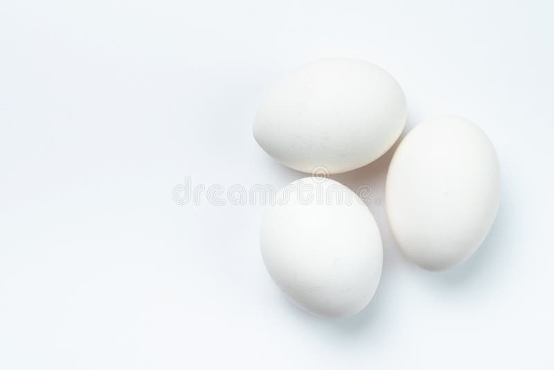 Three white chicken eggs stock image. Image of healthy 183297951