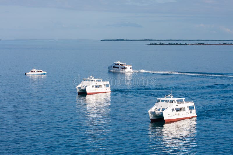 Three White Ferries on Calm Blue Water royalty free stock image