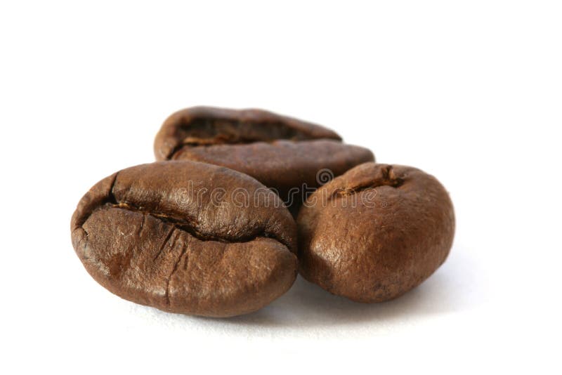 Three Whole Coffee Beans Detail Stock Image Image of beans
