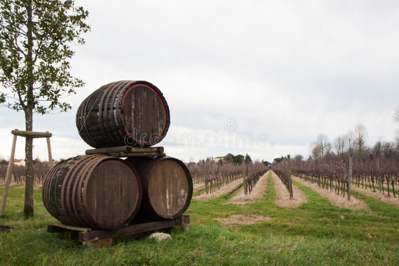 Three wine barrels stock image. Image of wine, sunset 52799253