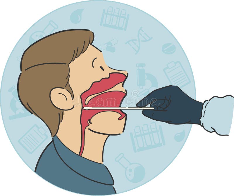 Throat swab test cross section from side view anatomy inside mouth throat of male patient protocol by medical worker royalty free illustration
