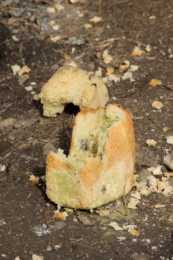 Кидать хлеб. Выброшенный хлеб. Хлеб бросать. Хлеб в мусорке. Выкинуть хлеб.