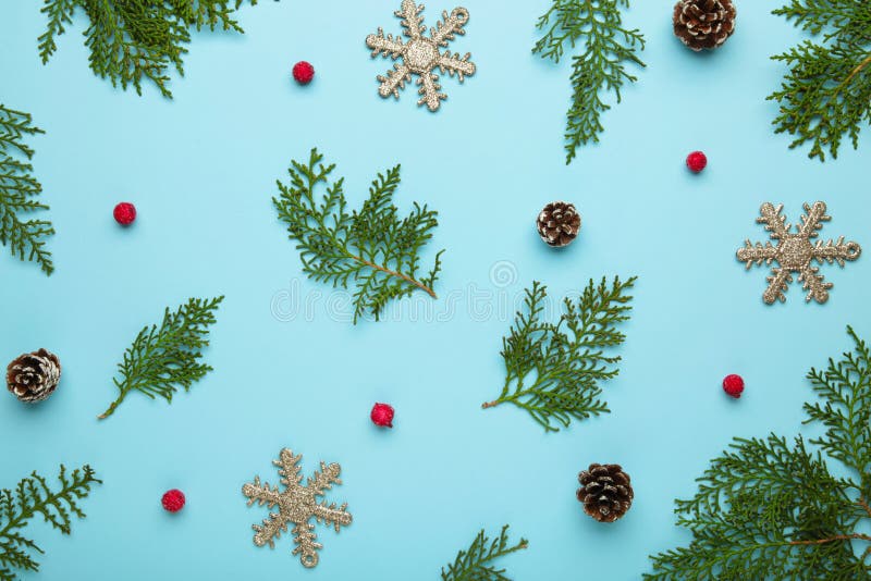 Thuja Branch and Christmas Decoration on Blue Background Stock Image