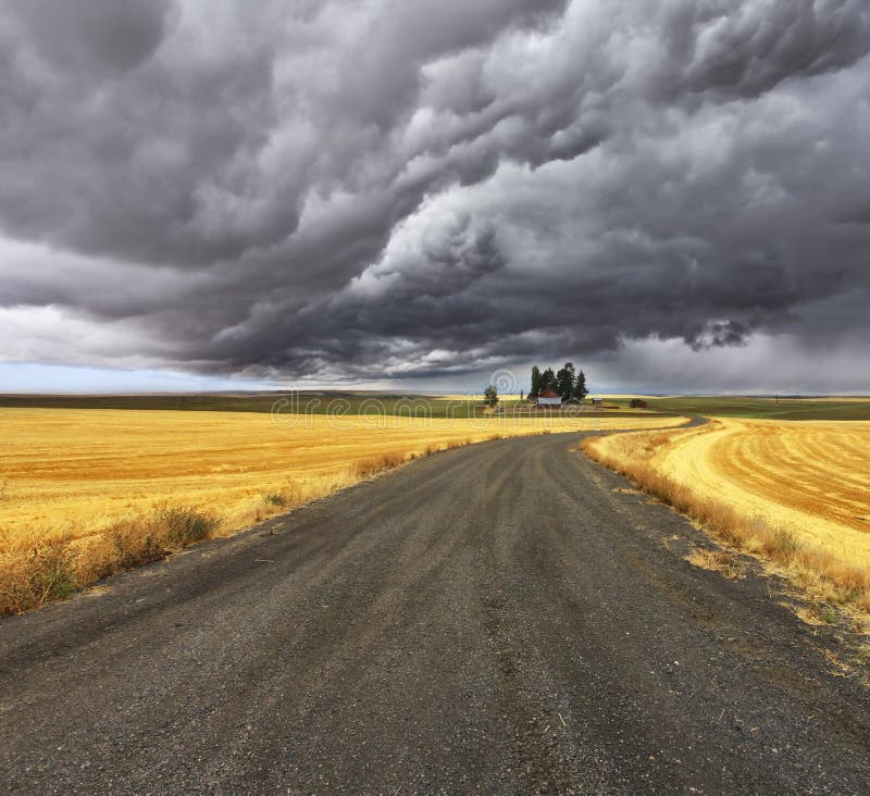 Thunder-storm above Montana.