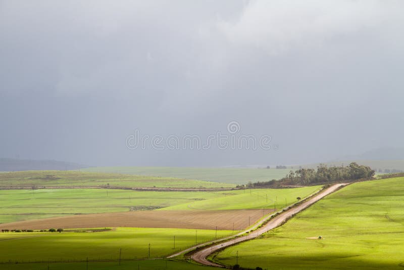 Thunder storm over green plains