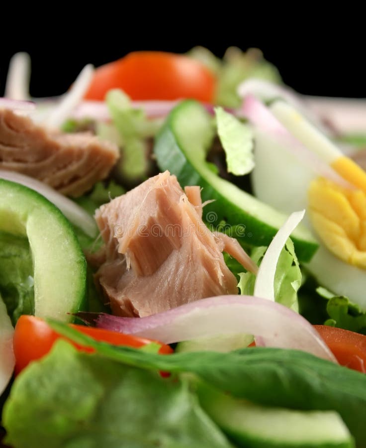 Thunfisch-und Ei-Salat lizenzfreies stockbild Thunfisch-und Ei-Salat lizenzfreies stockbild