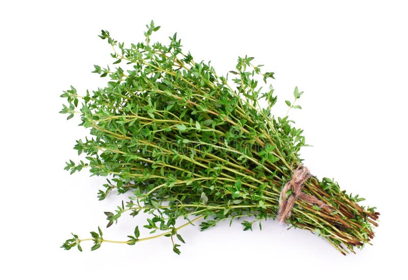 sprig of thyme substitute sprig of thyme substitute
