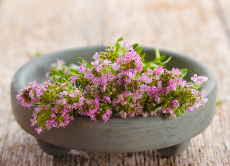 1 bunch fresh thyme to dried 1 bunch fresh thyme to dried