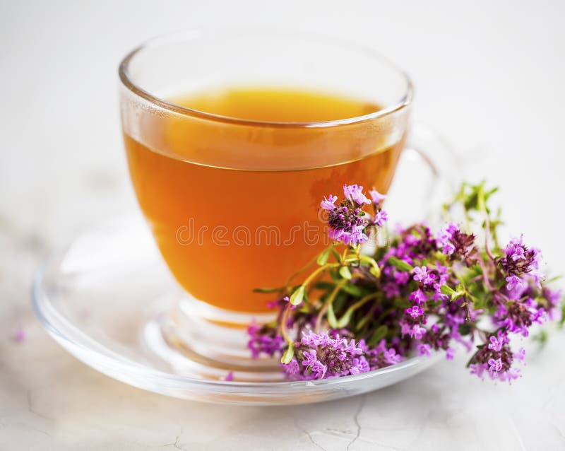 Thyme tea stock photo. Image of healthy, food, leaf 126471152