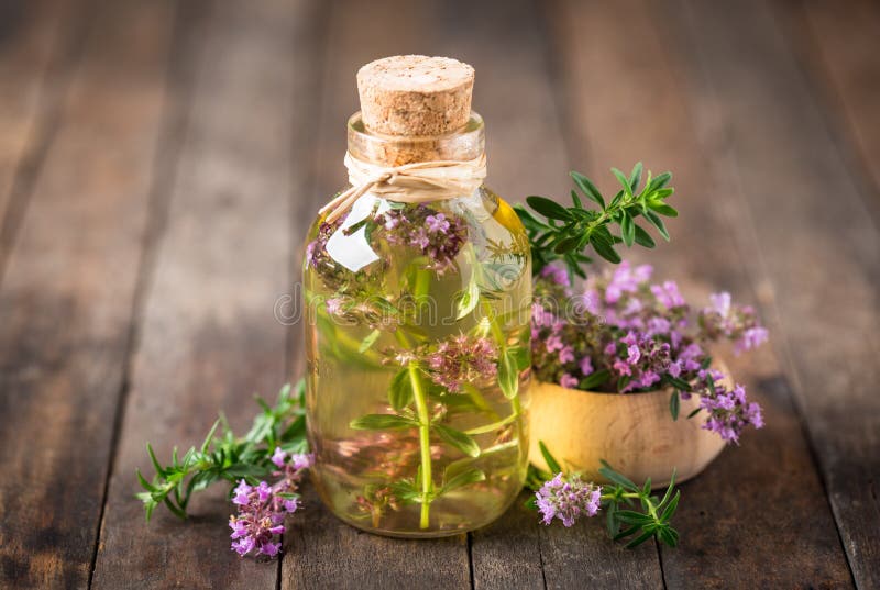 Thyme essential oil on the wooden table. Thyme essential oil on the wooden table